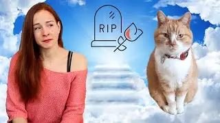 LEVEN & DOOD: belangrijke VOCABULAIRE (in memoriam 💖 Veggie & Alexander) #learndutchwithkim