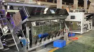 Salt Sorting With Stainless Steel Color Sortex/Sorter Machine