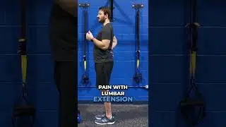 Understanding Your Back Pain: Posture, Motions, and Triggers Revealed