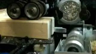 BEAVER 523.mp4