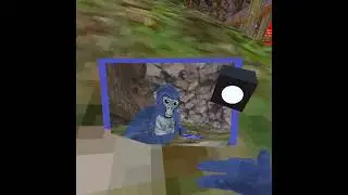 I got mods in gorilla tag