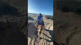 Среди песчаных дюн на верблюде
