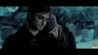 Harry & Hermione | Moments [for Elena]