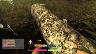 Life is Feudal: How to LiF - Bäume und wie man sie zubereitet [GER][Pre-/Closed Alpha]