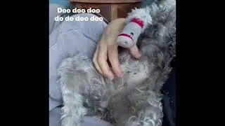 Sing-a-long Snack Song!