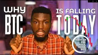 Why Crypto is Falling Today, Should you Buy, Hold, Sell