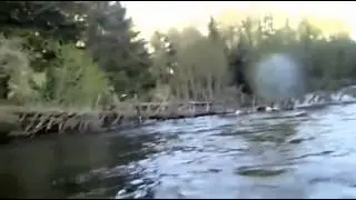 Bald Eagle Steals Fish Right Off Fisherman's Line