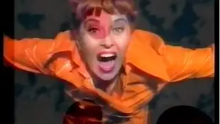 Sexing The Cherry - Steppin' On