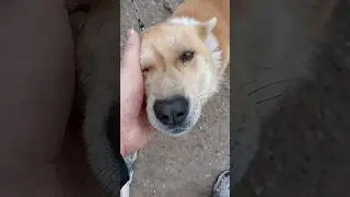 устал и хочет отдохнуть 🙃👍👍👍 