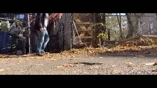 Ground leaves