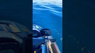 Stabilité Yamaha VS Seadoo #jetski #fishing #yamaha #seadoo #avis
