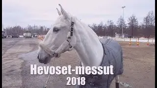 Hevoset messut 2018