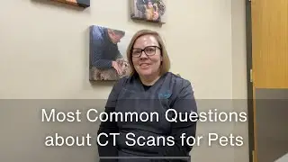 Most Common Questions about CT Scans for Pets