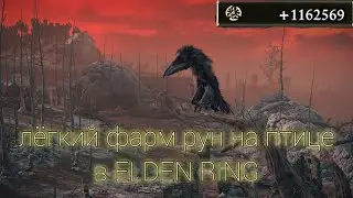 Быстрый и лёгкий фарм рун на птице (Elden Ring)