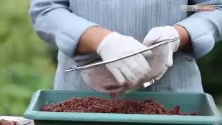 Evde Sumak Tozu Nasıl Hazırlanır?