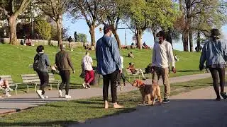 Amazing man Refuse to sale his baby Dog for over  $7000 Cash best  Prank  for just  positive lough