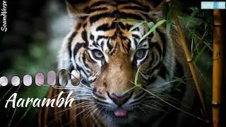 Aarambh Hai Prachand Ringotne. Download link is below 👇👇