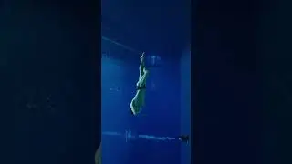 Dance under water 🐬 #ildaryoung  #dance #contemporary #ballet #choreography #diving #freediving