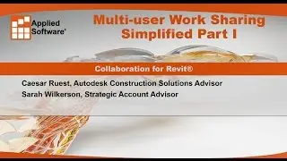 Webinar: Multi-User Work Sharing Simplified, Part I: Collaboration for Revit®