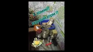 Хомячий уголок /Корм Рокус /Условия хомяков