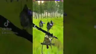 Bannerlord mods from TikTok 3