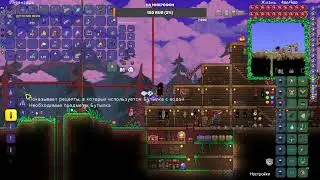 🔴Стрим🎥Terraria