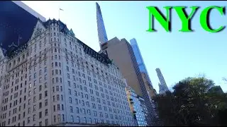 First year in New York City summary (2022-2023)