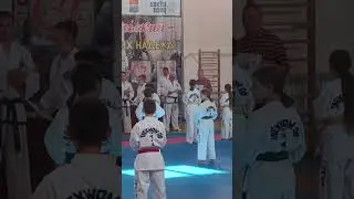 Награждение. Третий гып. Сине-красный пояс. 🤜🤛