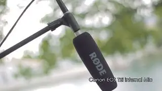 RODE NTG-3 Shotgun Microphone Review AND Test