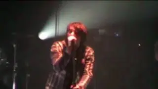 Autour de moi les fous - Damien Saez en Live