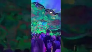 Elrow Stage at Arc Music Festival 🔥🔥🔥🔥