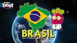 🇧🇷 BRASIL BRAZIL Mapa Estados Geografia en Español Niños