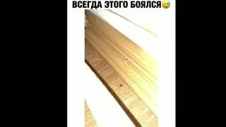 Сосед бл..дь