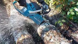 Drujba Makita 6401 la Fasonat Busteni de Mesteacan #makita #chainsaw #drujba