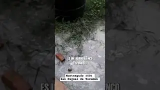 Vivir en medio de aguas servidas y jabón (Monteagudo 1501-San Miguel de Tucumán) #ayuda #aguaServida
