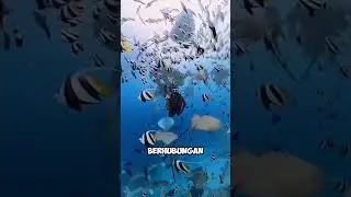 Enak Ibu Kata Mas Parto 🗿🗿 #comedyshorts #lucu #ngakak #jokes