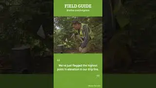 SiteOne Field Guide: Air Relief Valves for Drip Irrigation