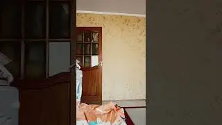 4 мая 2024 г.