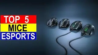 Top 5 Mice for Esports  For 2024 - Best   Mice for Esports You Can Buy Reviews