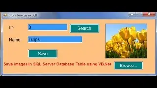 Save image to database using VB  net