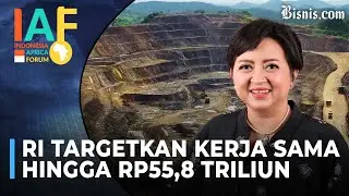 IAF 2024 Jadi Momentum Indonesia Perkuat Kerja Sama dengan Afrika