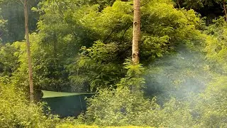 Hiking and camping with the Family | Trangia alcohol stove field testing | Day camp Adventure