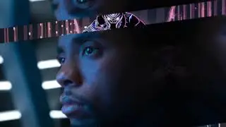 The Black Panther