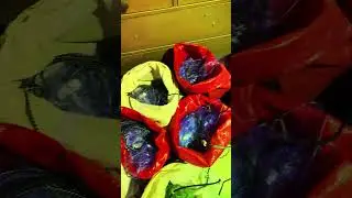 Сетеполотно, рыболовная сеть, посадка сетей. Сети на уклейку, тугунка. Продажа сетей.fishing net