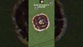 goofy ahh axolotl in minecraft 💀