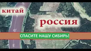 Кто на самом деле вырубает Сибирь?