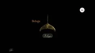 [FREE] BELUGA NEW Freestyle Type movie music Beat 
