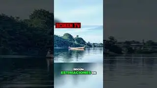 El Amazonas  El Río Más Grande y Poderoso del Mundo  #curiosidades #Amazonas #rios