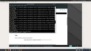 how to install Olive Video Editor in Linux