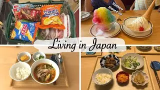 grocery shopping, shaved ice treat, Kimchi making, vinegar soy sauce braised chicken| japan vlog